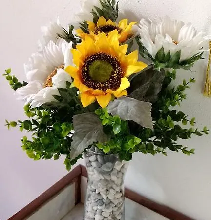 Farma Agriturismo Pozzo Dei Desideri *