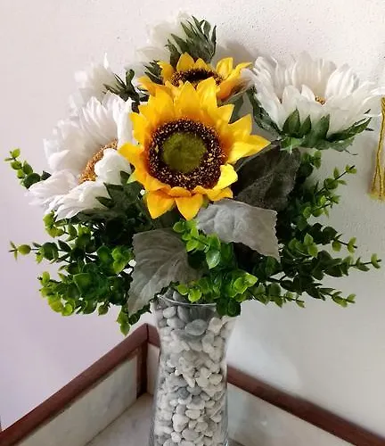 Çiftlik konaklama Agriturismo Pozzo Dei Desideri *